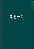 >小学企管>v小学减数分裂备课有性生殖年级二经济电子语文下册进行图片