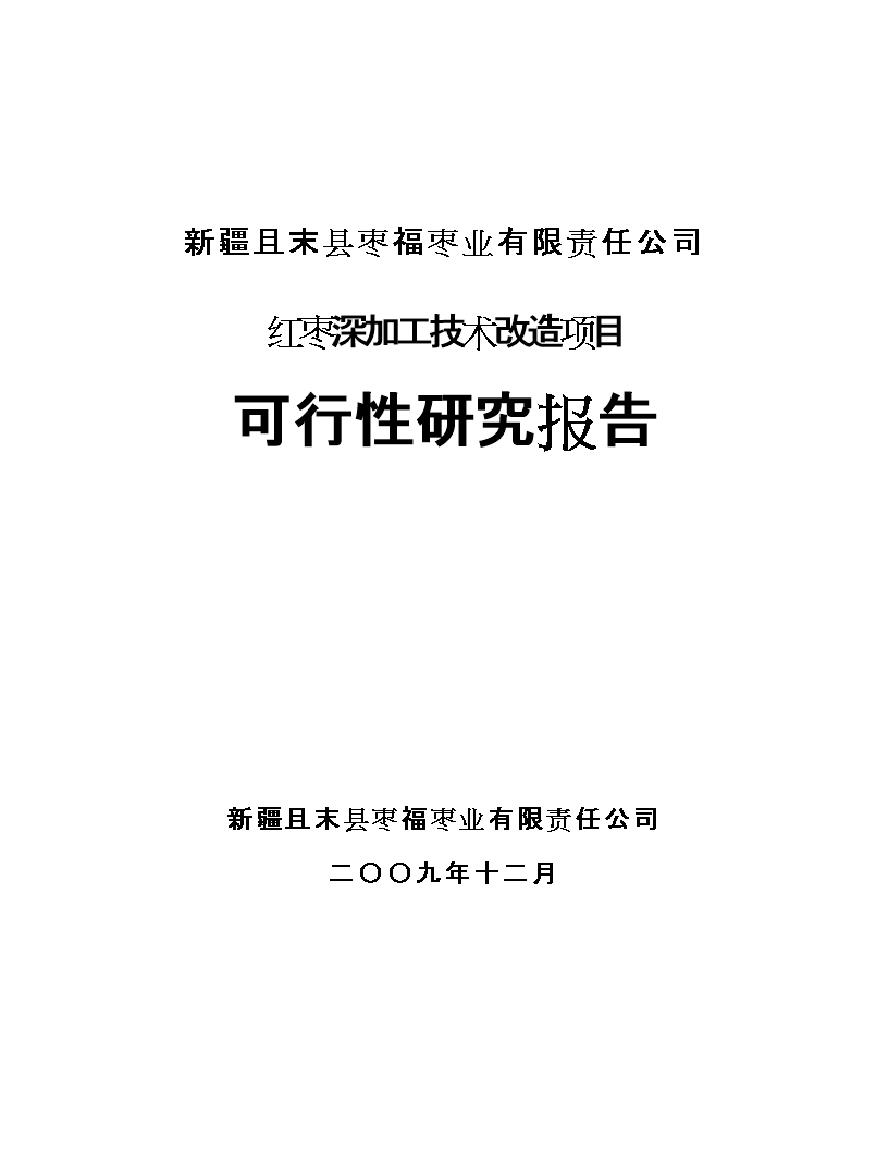 红枣深加工技术改造项目可行性研究报告-word