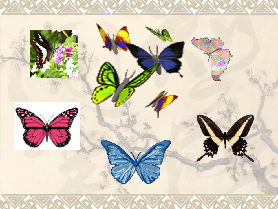 视导布贴画 蝴蝶花瓶 课稿.ppt 视导布贴画 蝴蝶花瓶 课稿.ppt