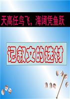 初中作文选材剖析.ppt