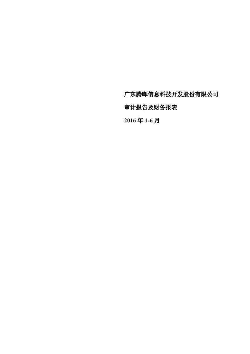 广东腾晖信息科技开发股份有限公司审计报告及