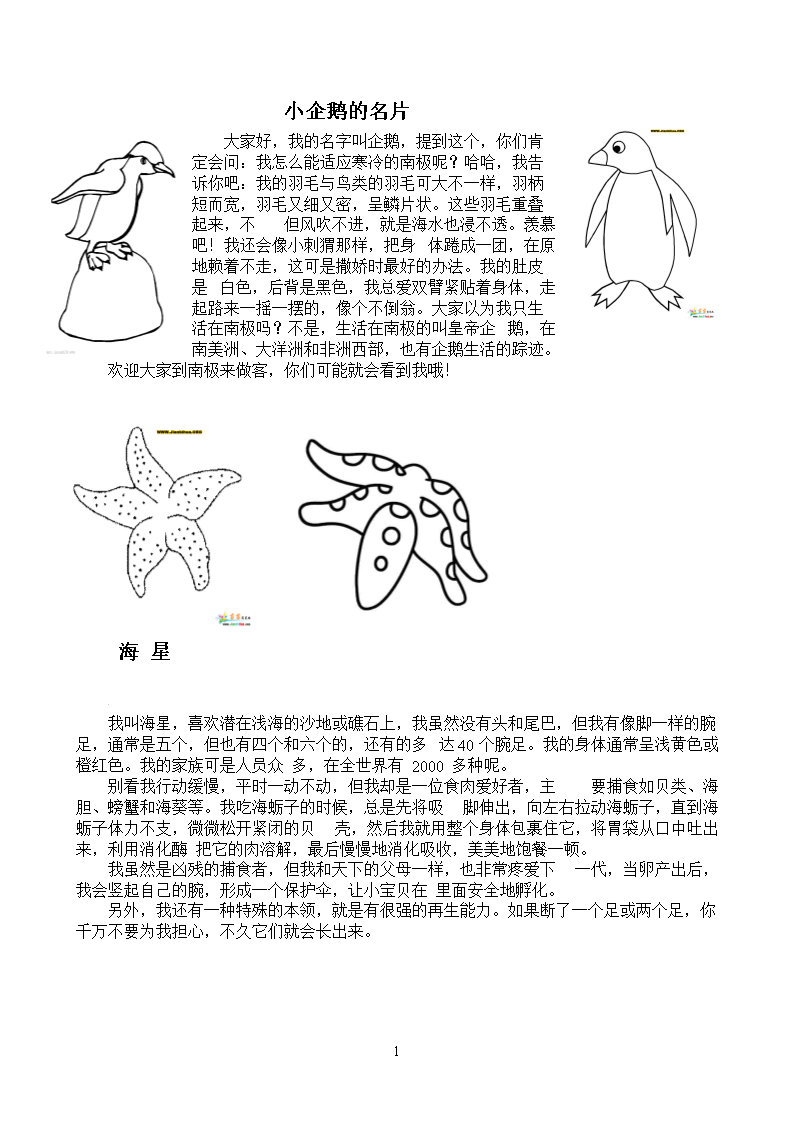 动物的名片[图文并茂].doc