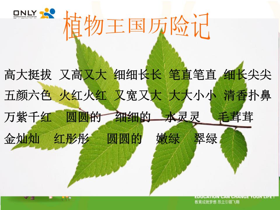 小2第四站2植物王国历险记讲述.ppt