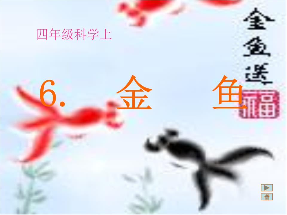 湘教版年级上册四大街小学《水族的公民》精选科学石岗小学石家庄图片