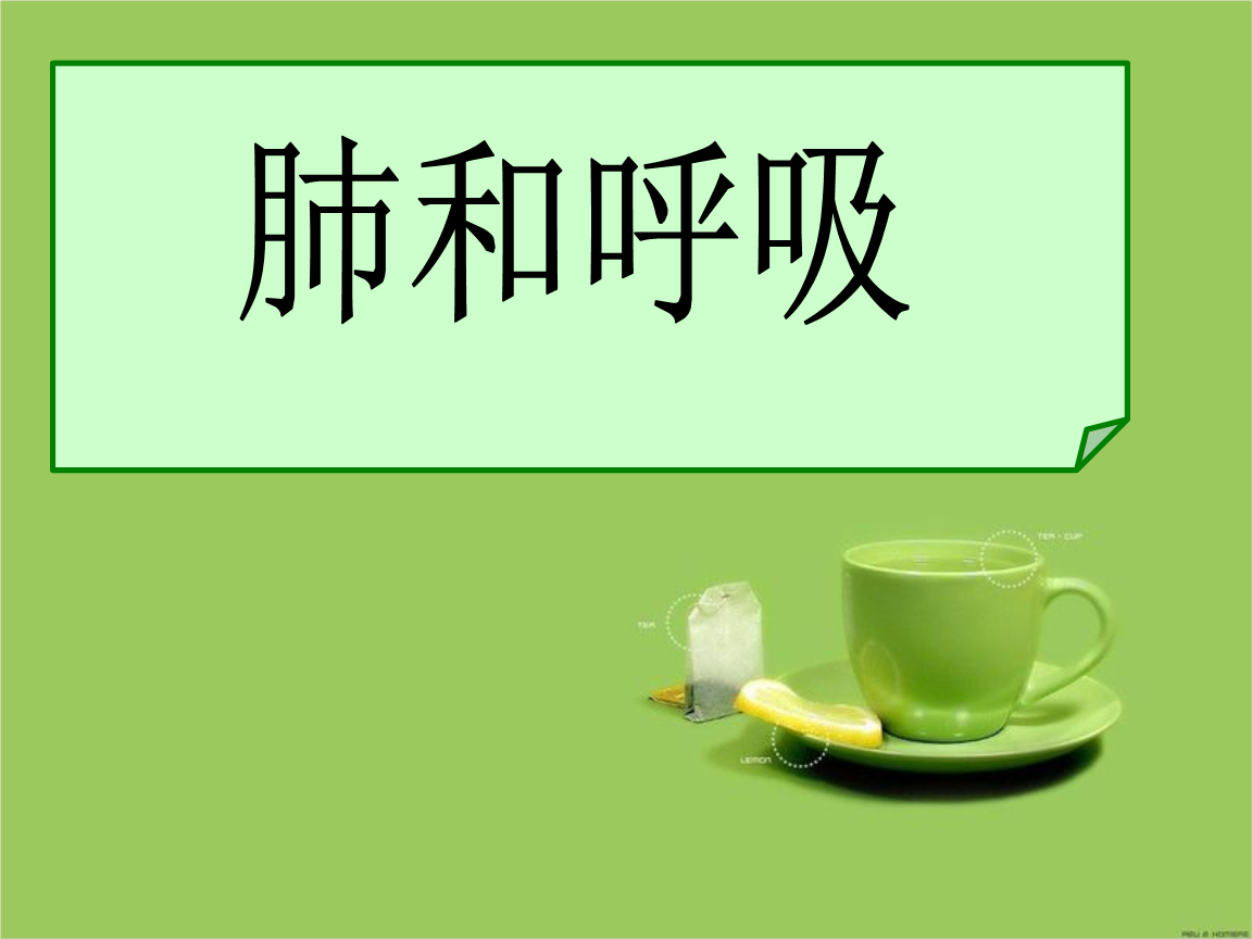 ian肺和呼吸ppt最新课件.ppt