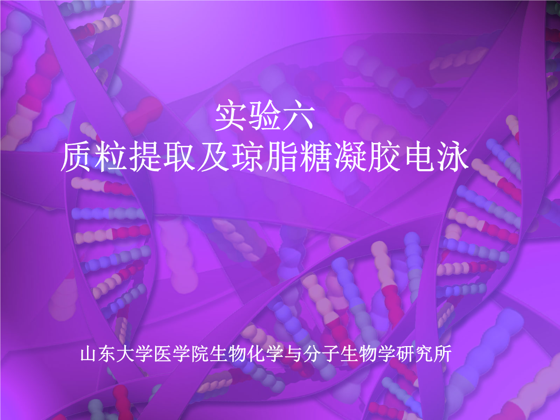 质粒提取和琼脂糖凝胶电泳.ppt