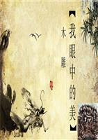 我眼中的美木雕艺术欣赏教程.ppt