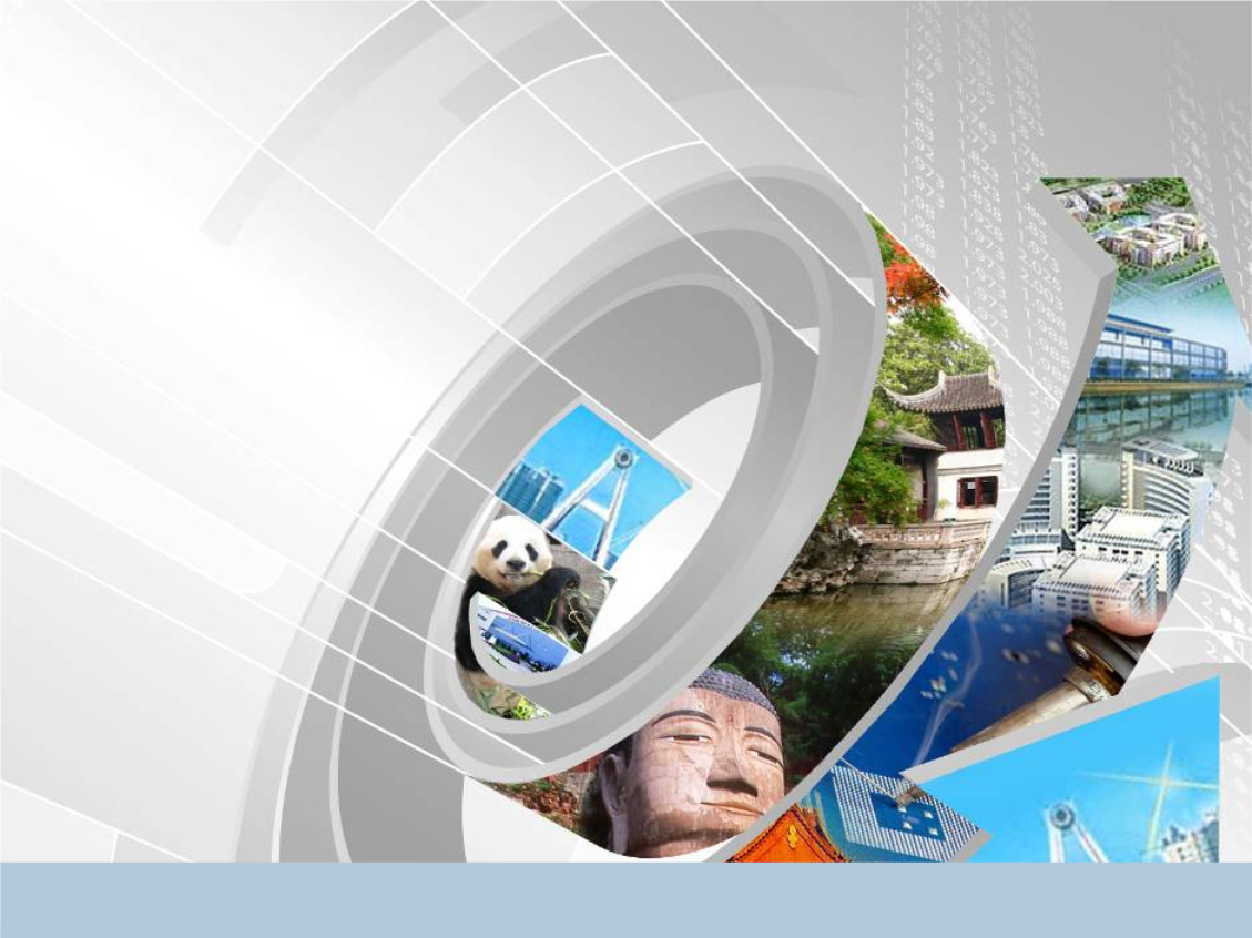 麦肯锡-成都高新区产业规划2008研讨.ppt