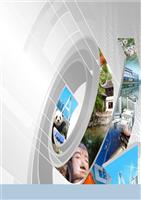 麦肯锡-成都高新区产业规划2008研讨.ppt