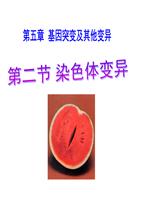 一,染色体结构的变异;2,结果;二,染色体数目的变异;非整倍性变异