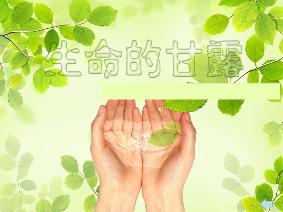 生命的甘露解释.pptx 25页