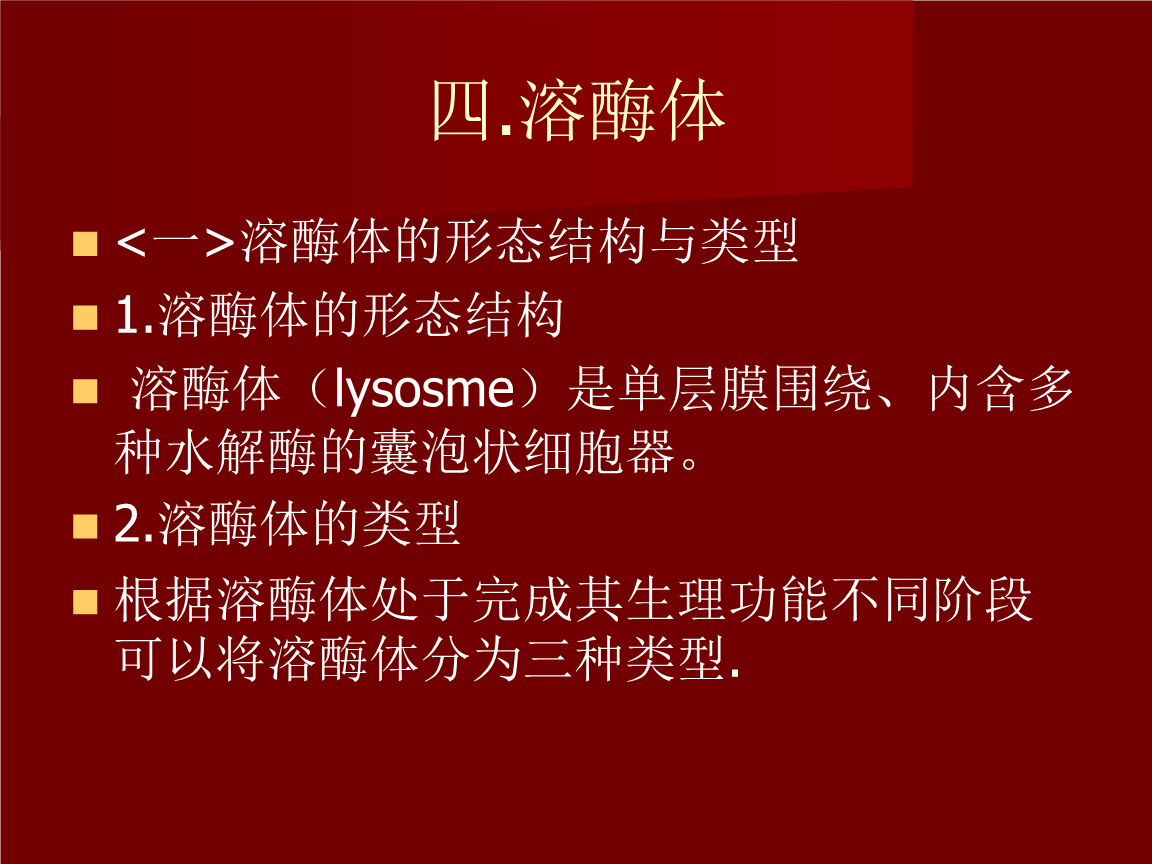 内膜系统溶酶体资料.ppt