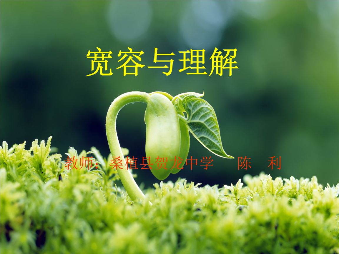 宽容与理解课件.ppt