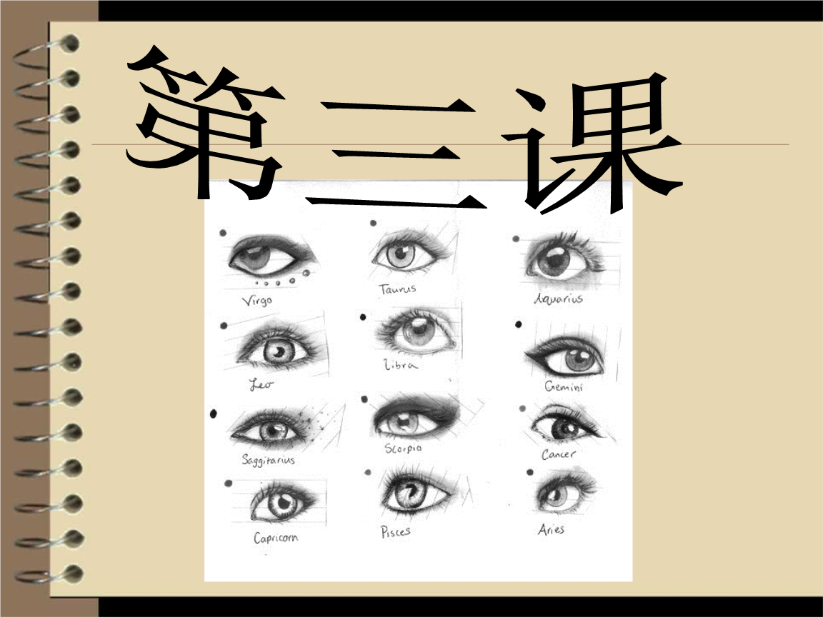 我们怎样运用自己的眼睛介绍.ppt