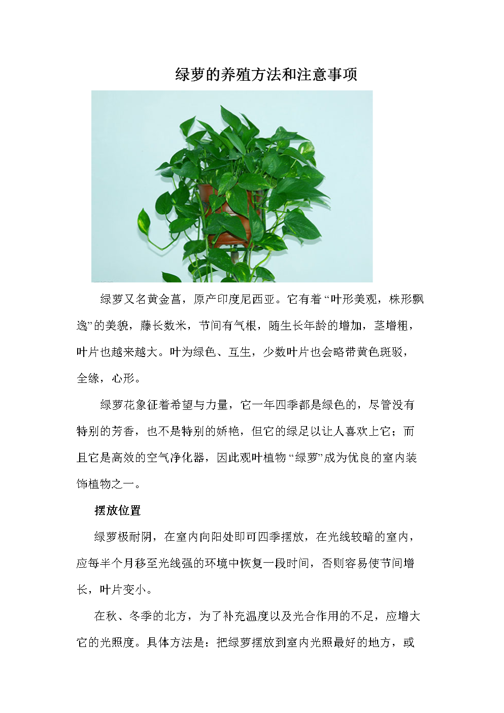 绿萝的养殖方法和注意事项.doc 5页