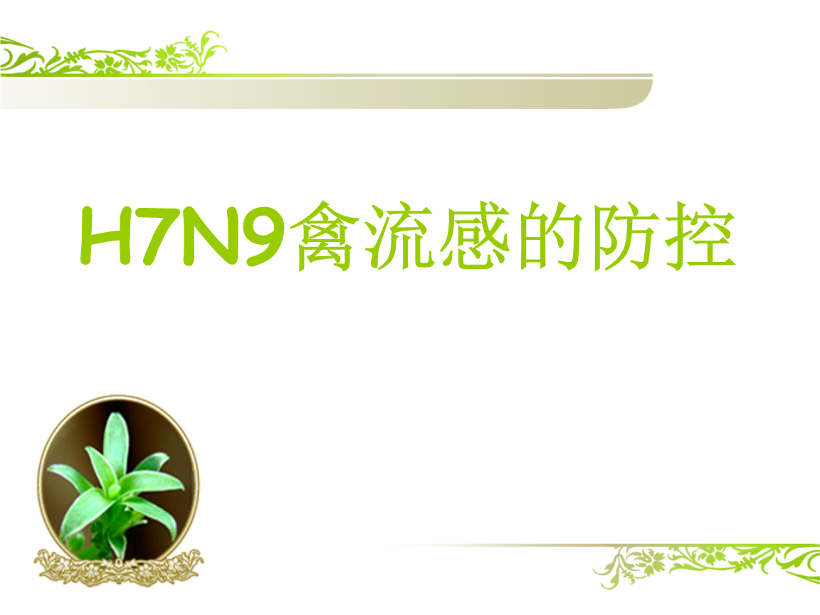 新型人感染H7N9禽流感防治对策