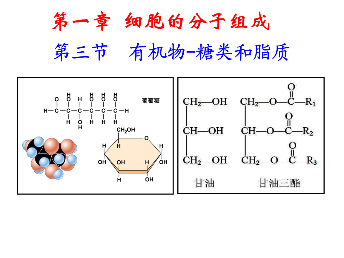 生物高中有机物-糖类和脂质详解.ppt广州高中协和图片