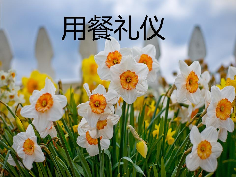 七年级用餐礼仪.ppt