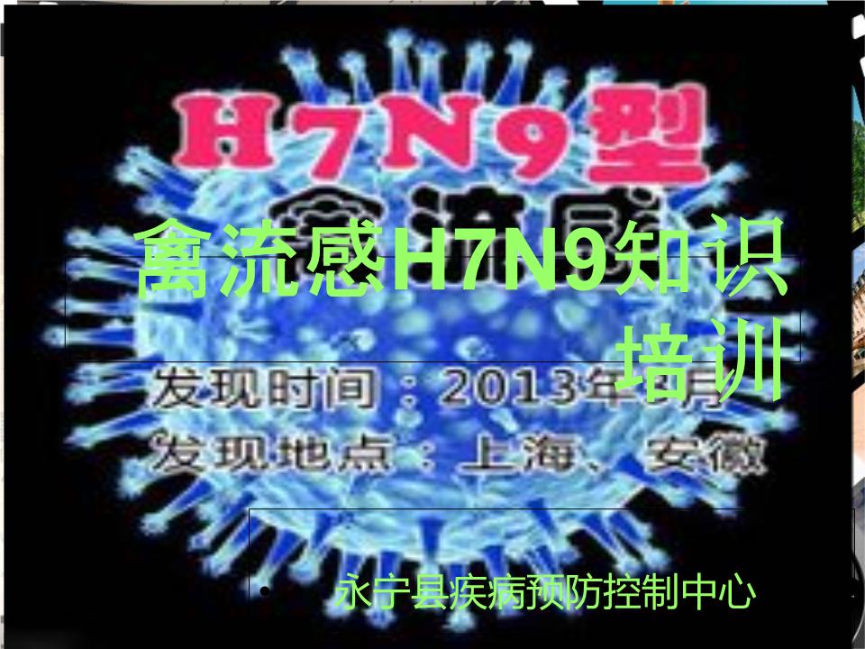 禽流感h7n9知识培训幻灯片.ppt
