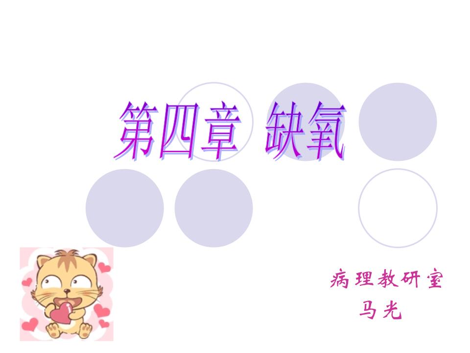 第四章缺氧课件.ppt