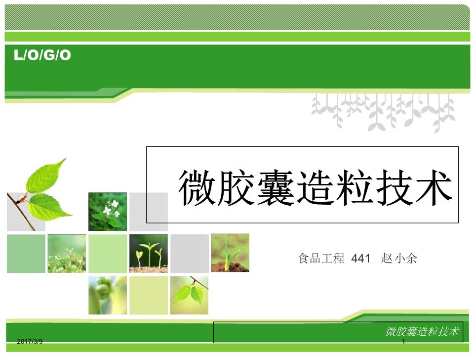 微胶囊造粒技术课件.ppt