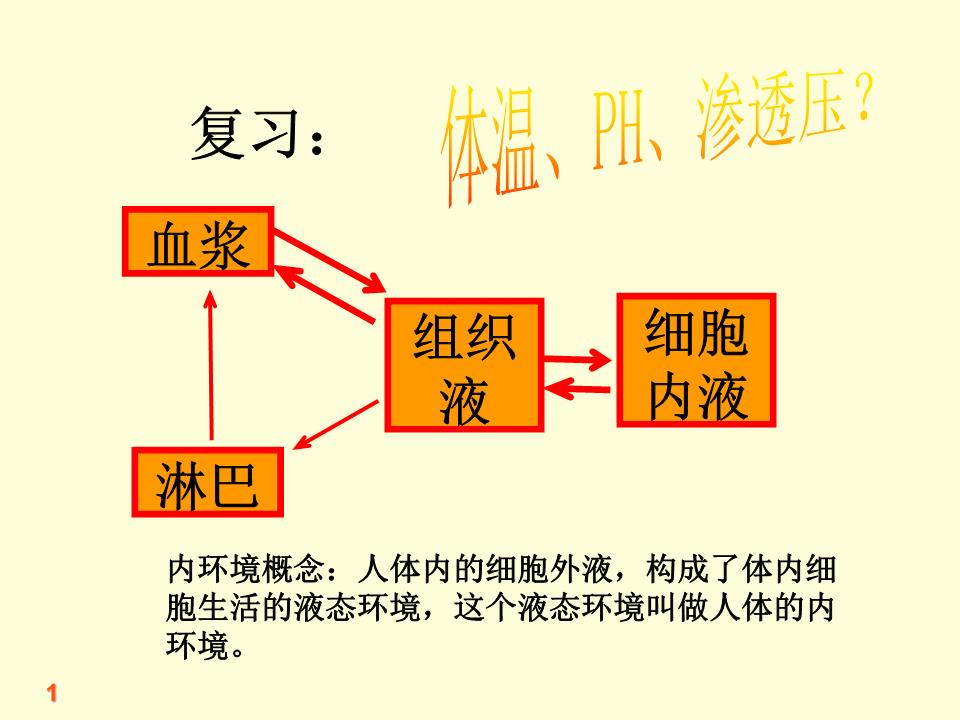 文科班内环境稳态的重要性说课.ppt