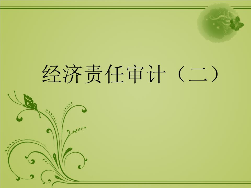 经济责任审计新(二)(84页).ppt