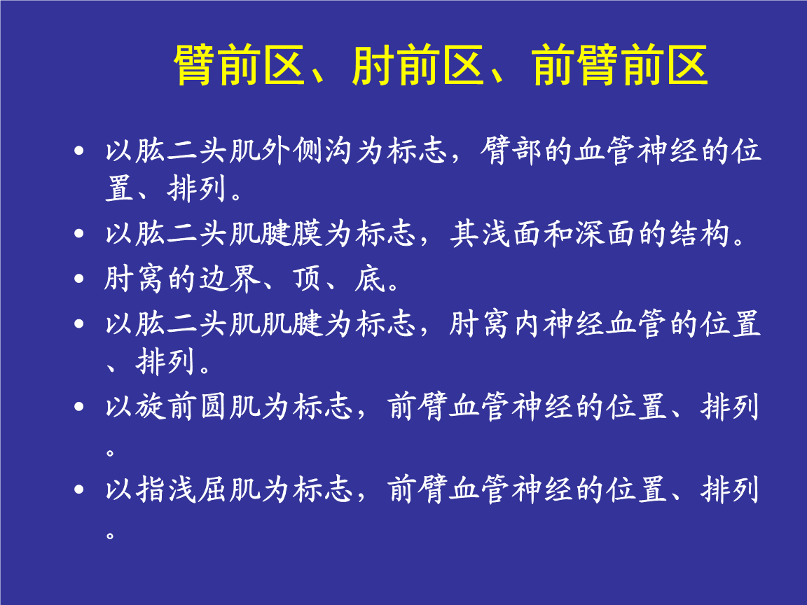 局解网络学教学平台4上肢前区颈前区腹前外侧壁小结.ppt