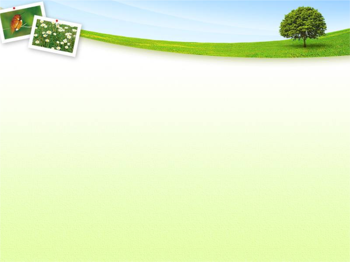小学英语课堂活动的有效性综述.ppt