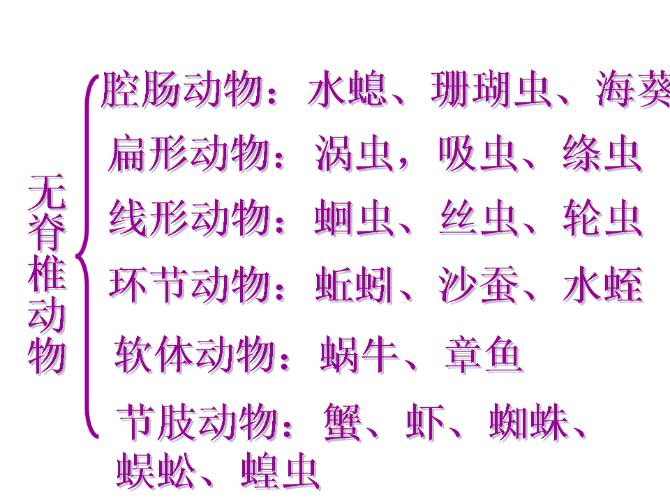 第四节千姿百态的动物世界(二)资料.ppt