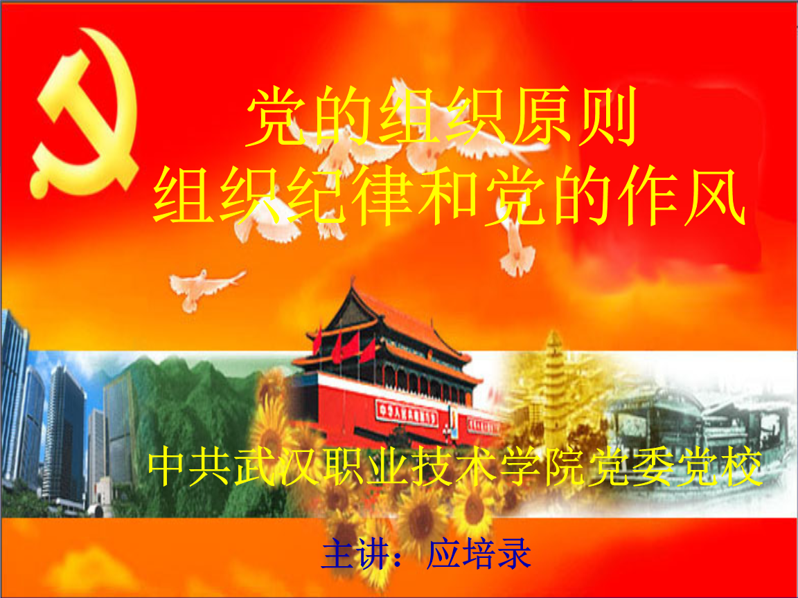 党的组织原则、纪律与作风建设讲义.ppt