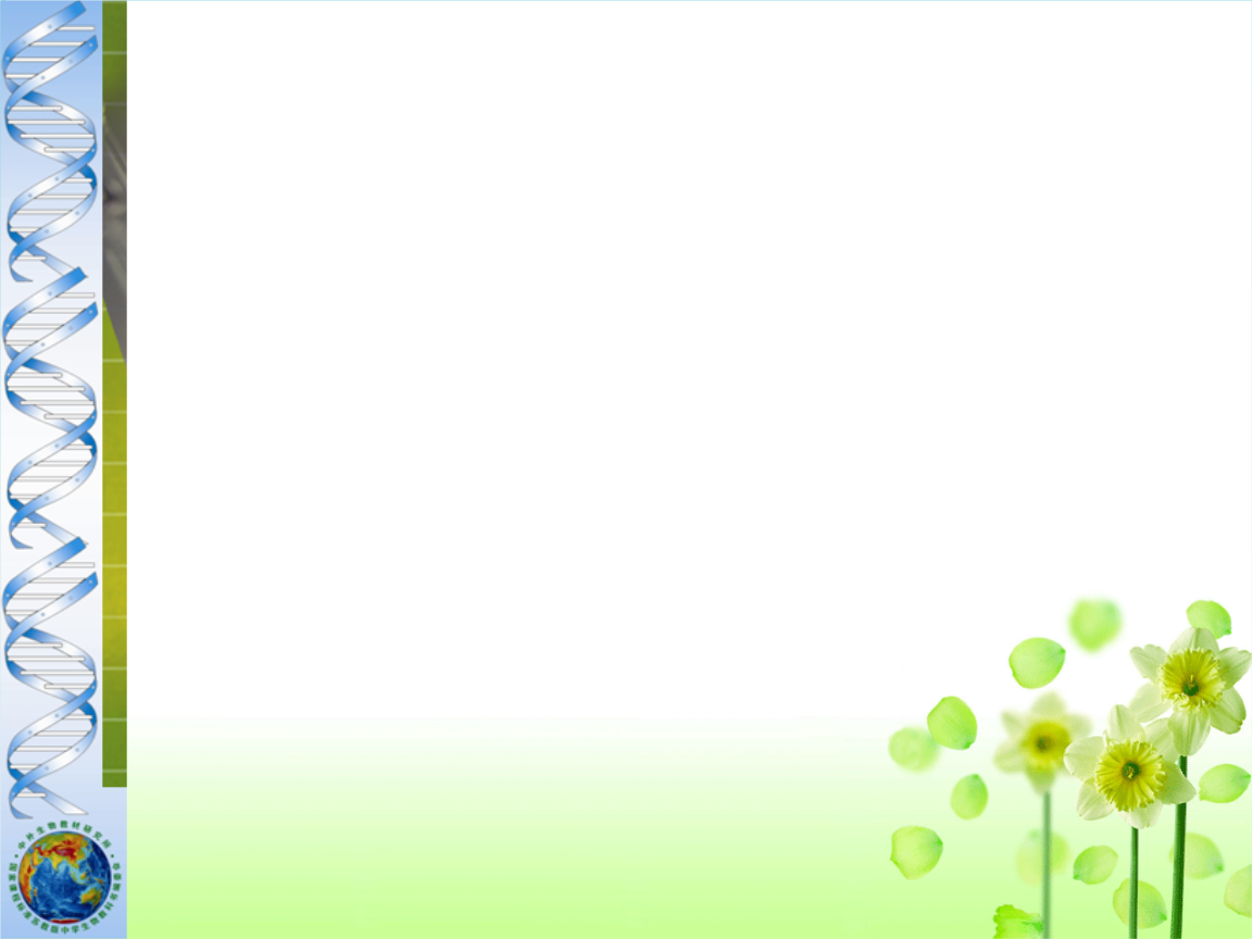 ppt