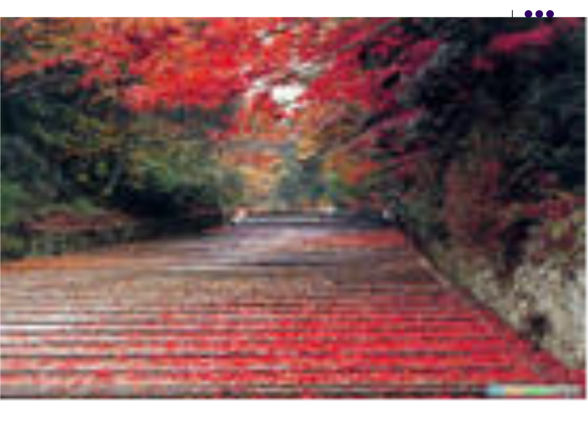 高考语文复习对偶与对联预案.ppt