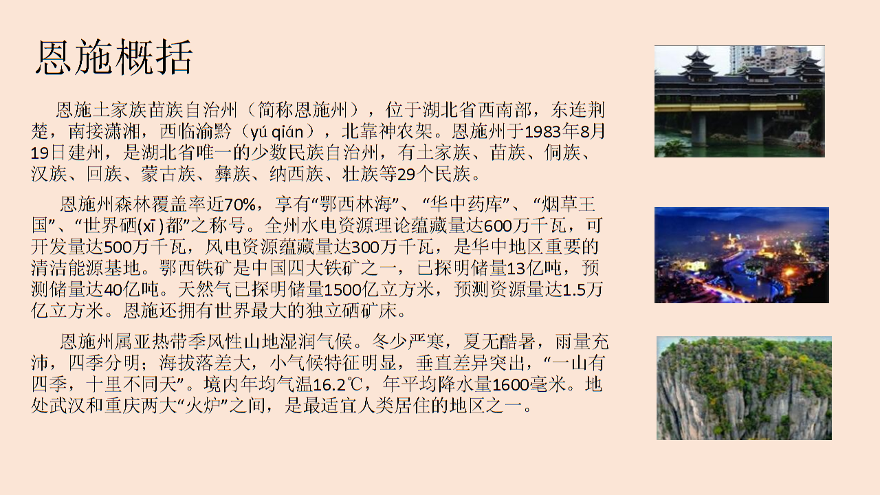 湖北恩施商业重点.ppt 15页