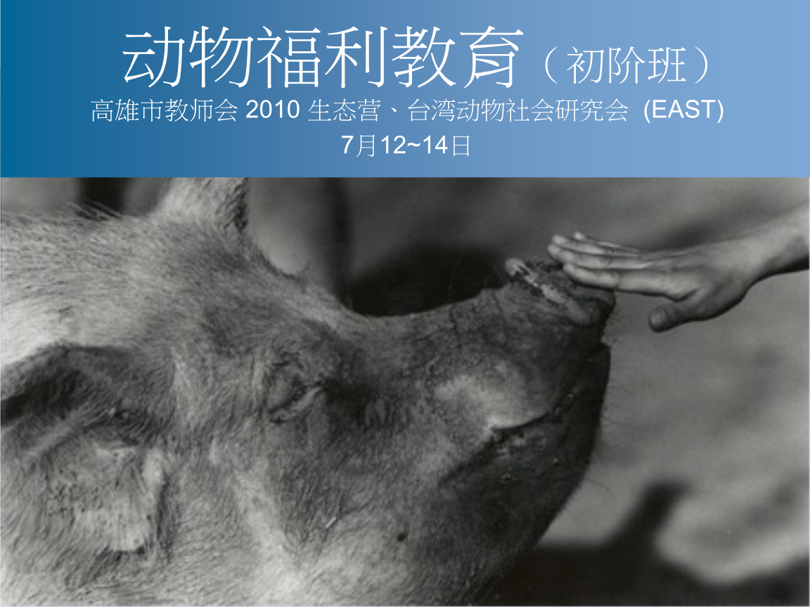 动物福利教育精要.ppt 39页