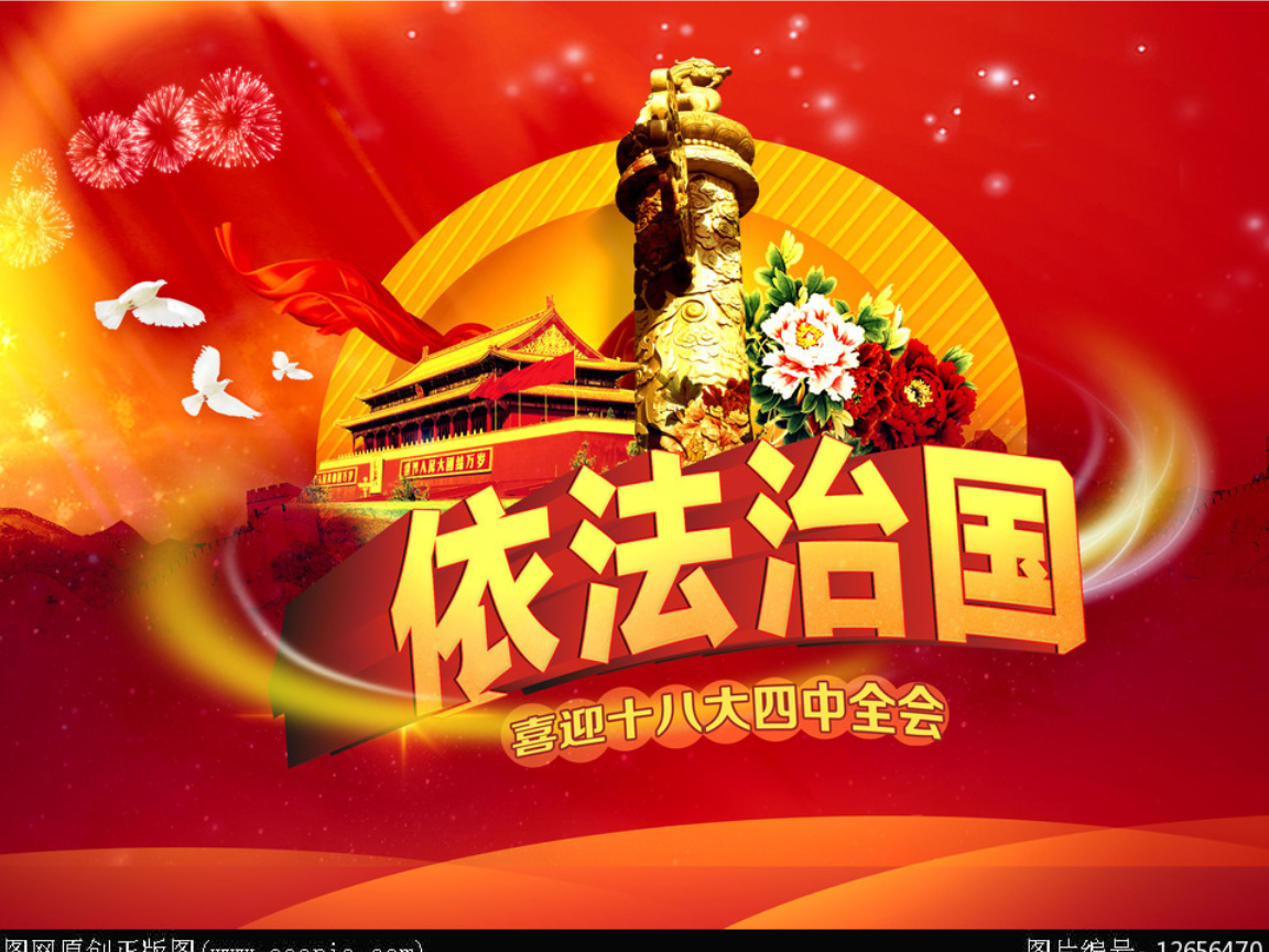 依法治国专题分析.ppt 19页