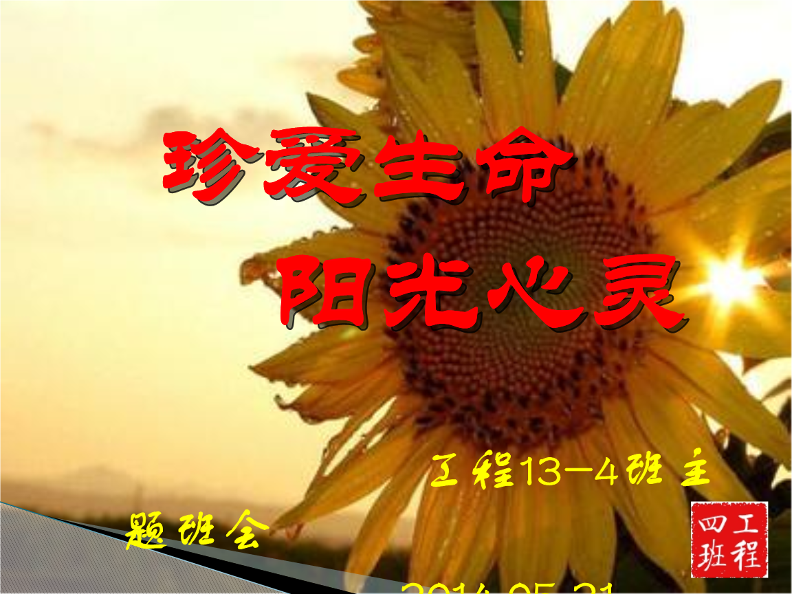 珍爱生命,阳光心灵技术方案.pptx 24页