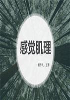 感觉肌理美术课件.ppt