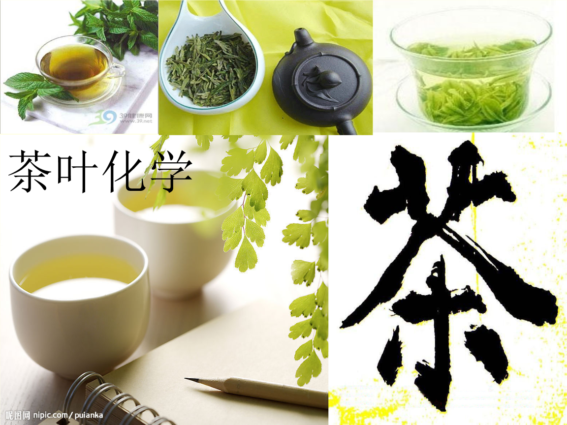 茶叶化学绪论摘要.ppt