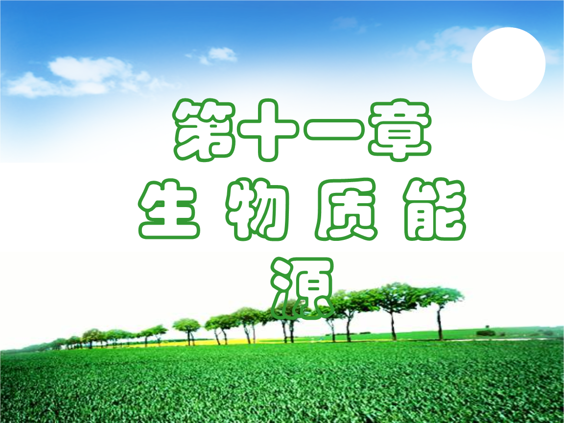 第十一章生物质能源资料.ppt 64页