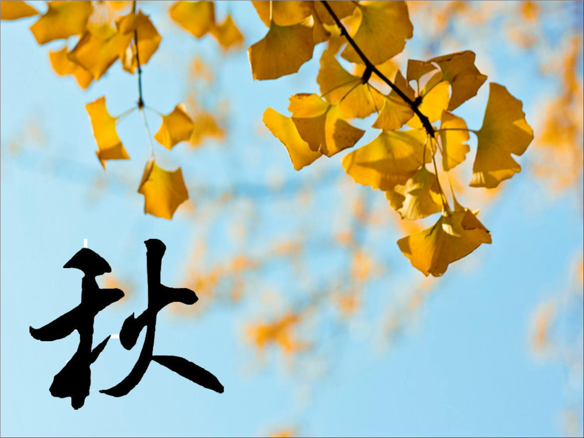 鄂教版语文四上《古诗诵读:初秋行圃》ppt课件1.ppt